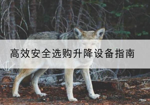 儋州升降货梯厂家推荐-*安全选购升降设备指南