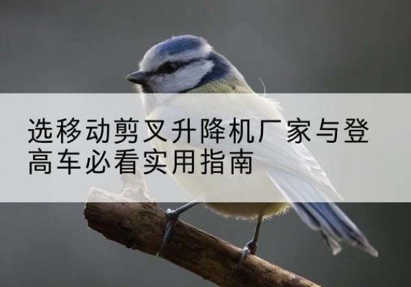 儋州电动升降机厂家-选移动剪叉升降机厂家与登高车必看实用指南