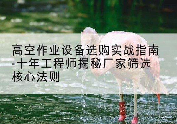 儋州剪叉式升降机厂家-高空作业设备选购实战指南-十年工程师揭秘厂家筛选核心法则